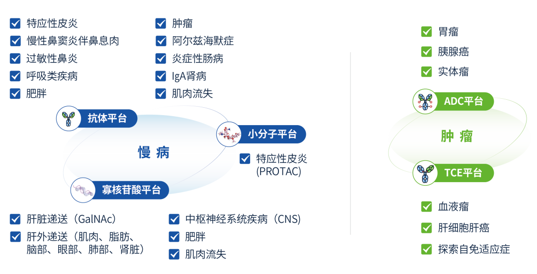 云顶集团3118官网