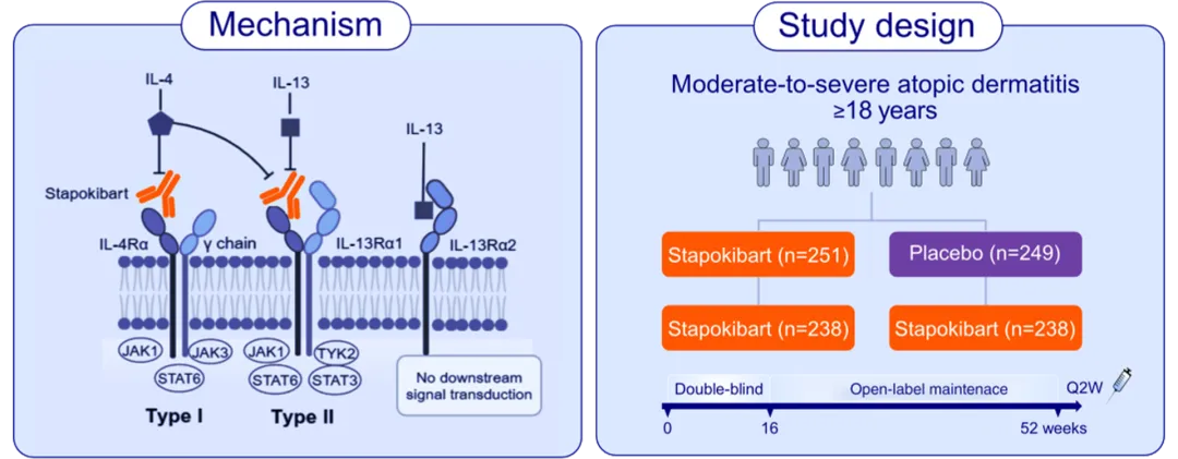 云顶集团3118官网