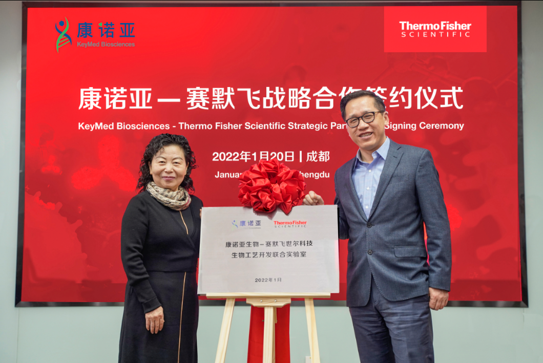 云顶集团3118官网